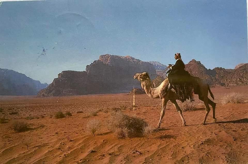Bedouin Family Camp Hotel Wadi Rum Exterior foto